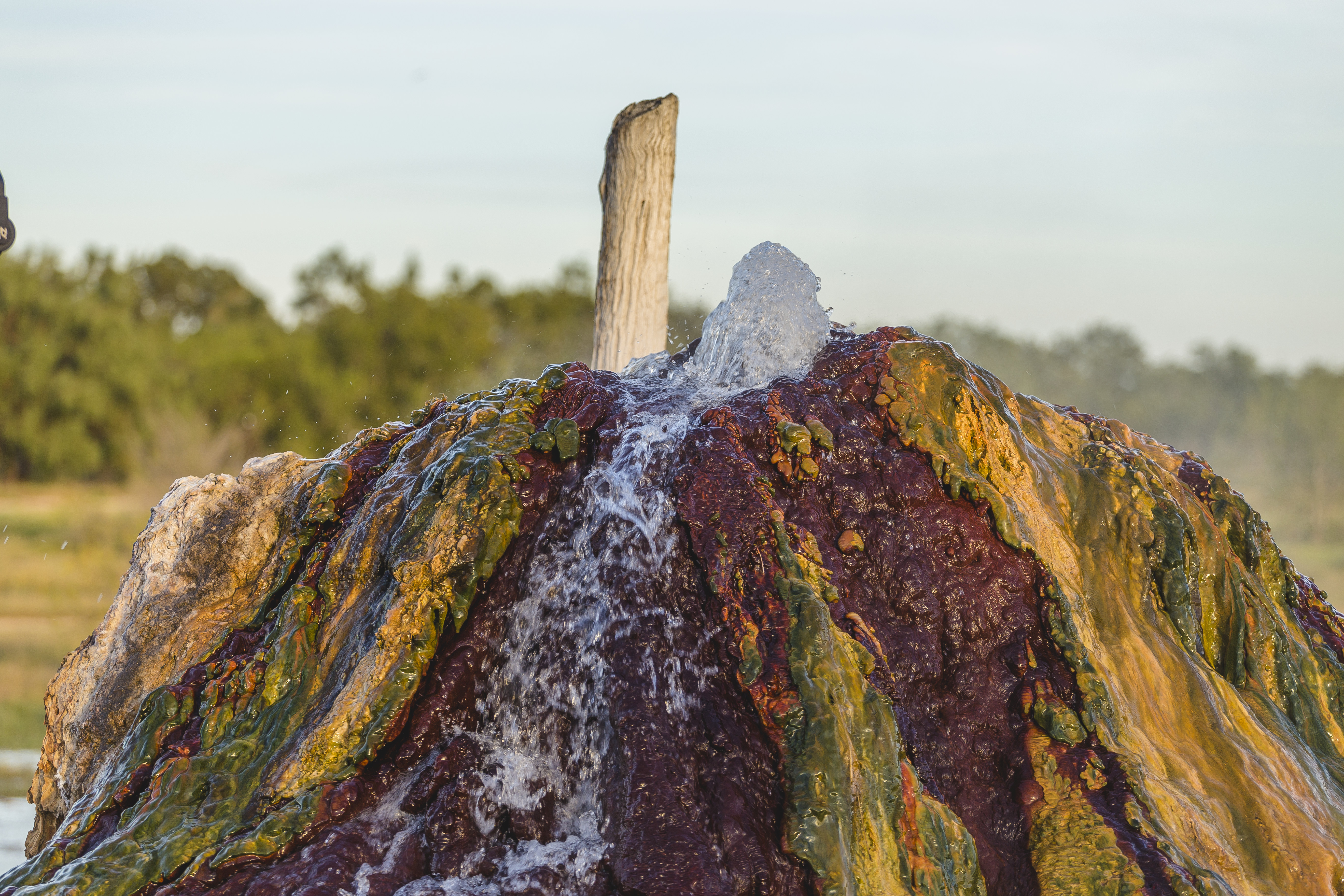 Burketown Artesian Bore