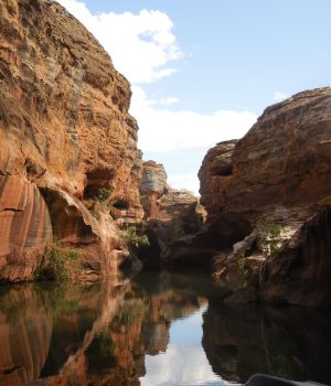Cobbold_3 (etheridge council website)